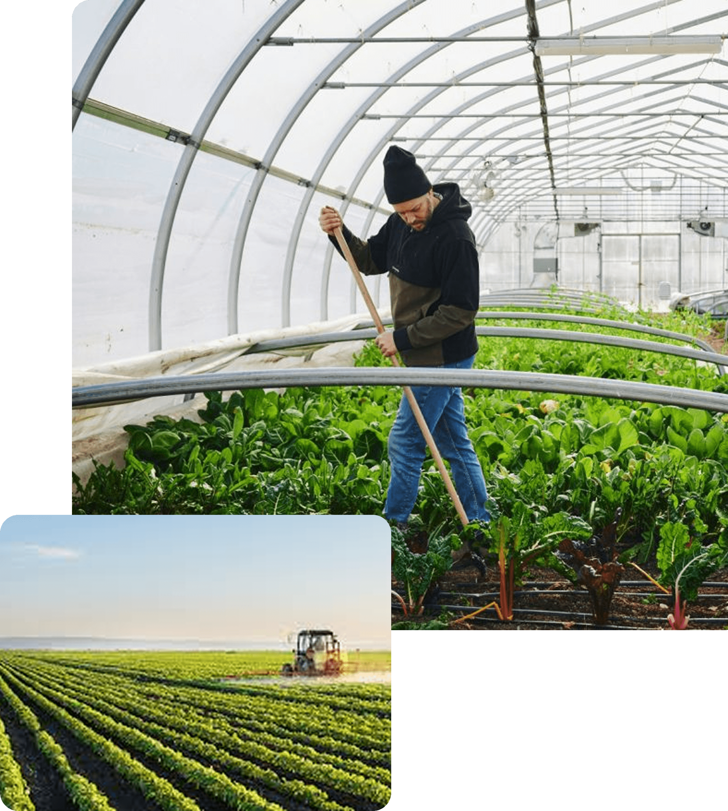 АГРОКОМ - робота у теплиці та трактор у полі