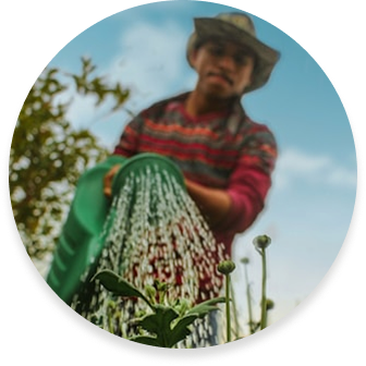 Для садівників